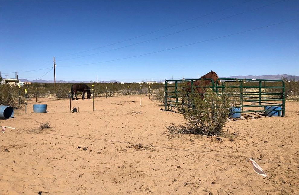 (Mohave County Sheriff's Office)