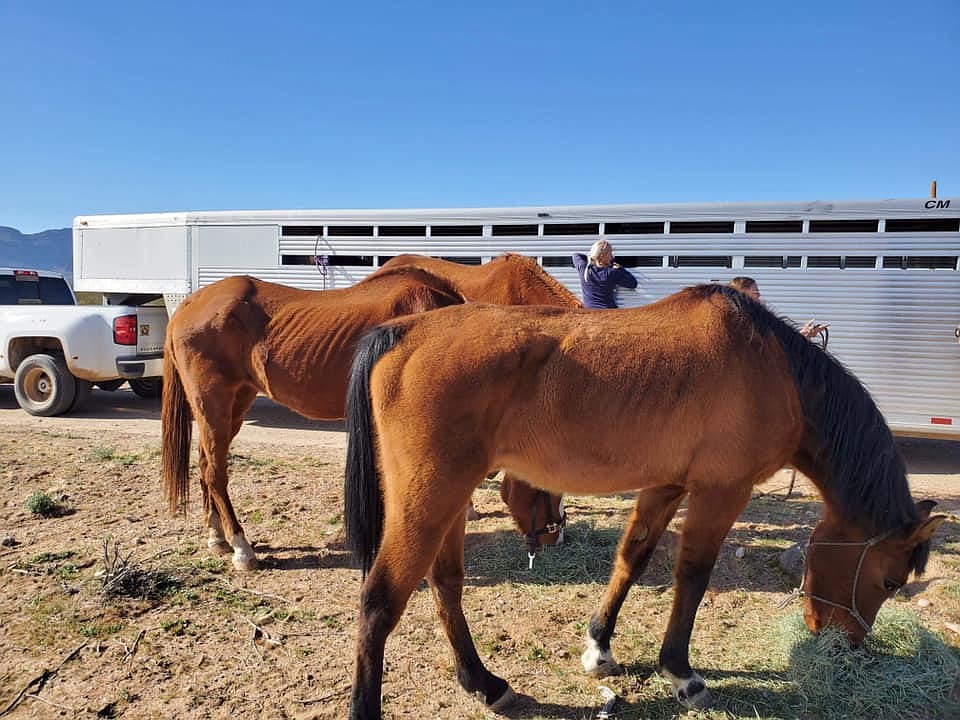 (Mohave County Sheriff's Office)