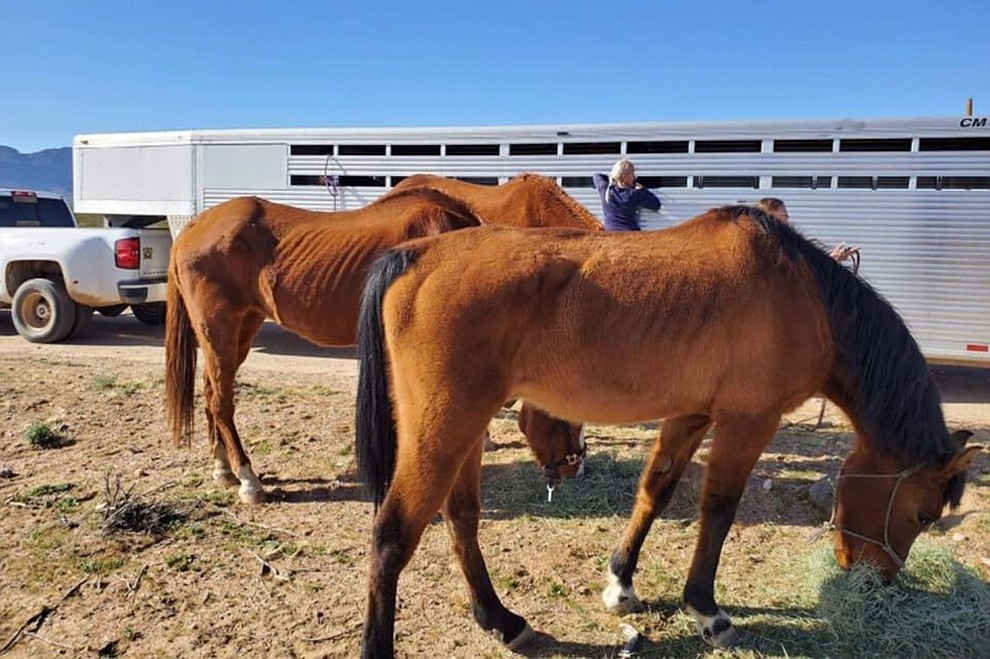 (Mohave County Sheriff's Office)