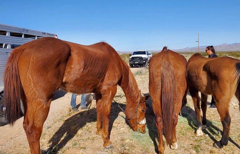 (Mohave County Sheriff's Office)
