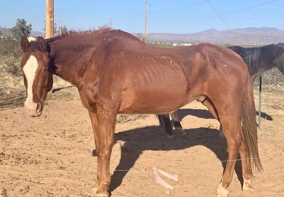 (Mohave County Sheriff's Office)