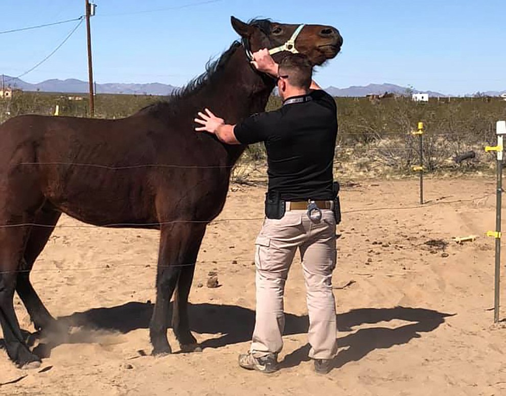 (Mohave County Sheriff's Office)