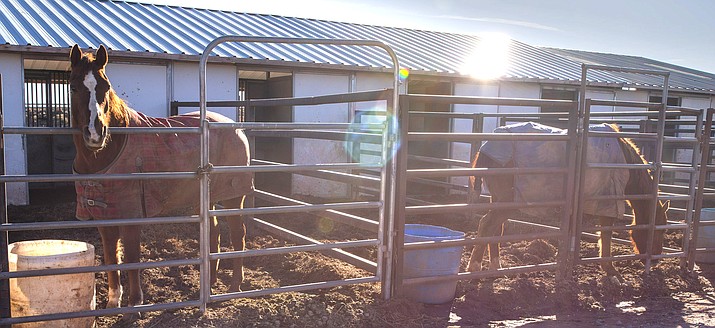 The Equestrian Center offers lodging for those traveling through Winslow with large animals. (Todd Roth/NHO)