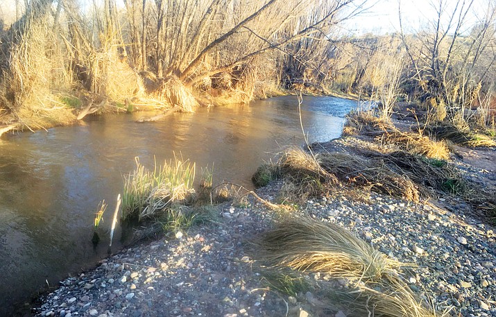 The Verde River flow has shown a consistent decline since 1990 and a report card by the Friends of the Verde River brings attention to it. VVN/Vyto Starinskas