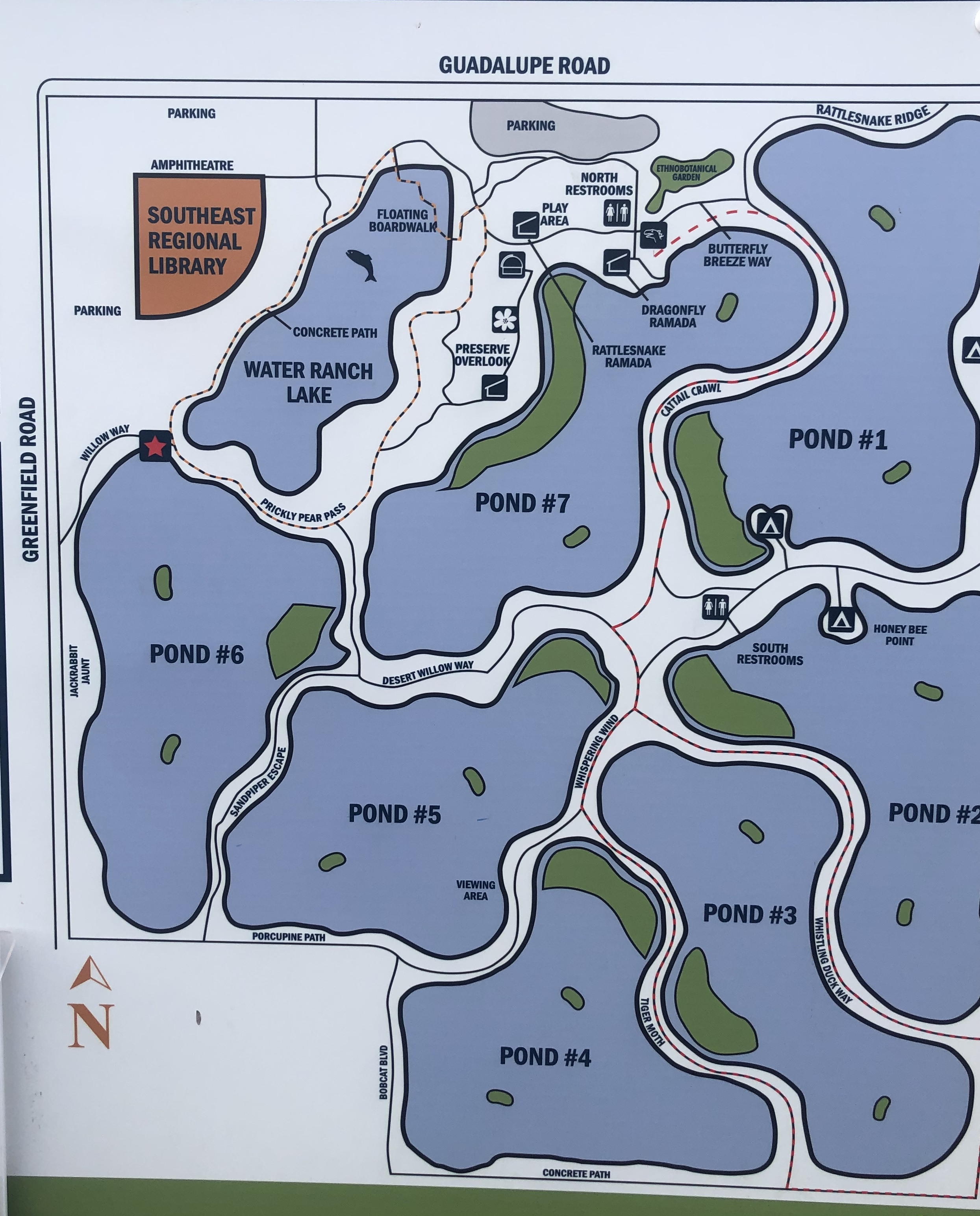 Gilbert Water Ranch Map Birding: Birding At Gilbert Water Ranch | The Daily Courier | Prescott, Az