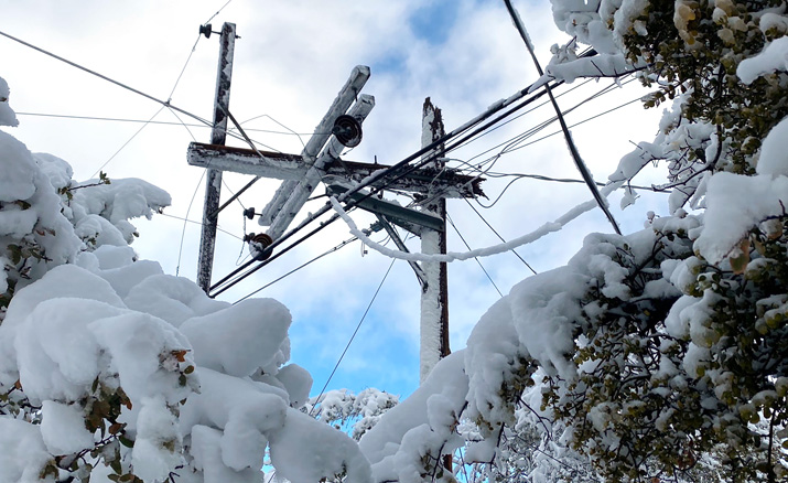 PSD warns public of electricity wires cut by snow accretion