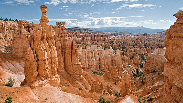 Take a guided, virtual tour through "The Hidden Worlds of the National Parks" and bring the outdoors inside. This photo is Bryce Canyon National Park. (By I, Luca Galuzzi, CC BY-SA 2.5, https://bit.ly/3difIkT)