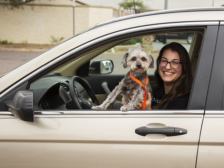 As part of its efforts to keep operating while practicing social distancing, the Arizona Humane Society has started drive-up animal fostering and adoption pickups. (Arizona Humane Society/Courtesy)