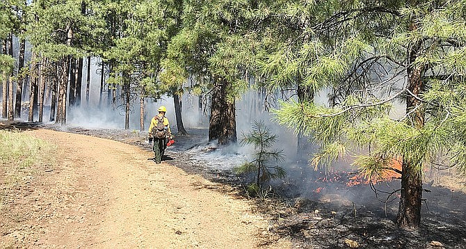 Sedona Fire District Marshal Jon Davis said effective immediately, the district has suspended the issuance of new burn permits and will is not allowing the activation of existing permits. File photo