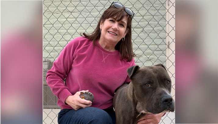 Mohave County Animal Shelter overcrowded again | Kingman Daily Miner