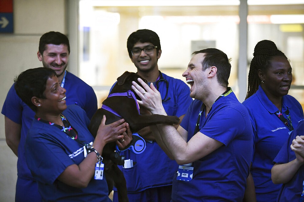 NHS staff applaud outside the Chelsea and Westminster Hospital in London during the weekly "Clap for our Carers", April 16, 2020. The applause takes place across Britain every Thursday at 8pm local time to show appreciation for those helping people with coronavirus and keeping the country functioning while most people stay at home in the lockdown. (AP Photo/Alberto Pezzali)