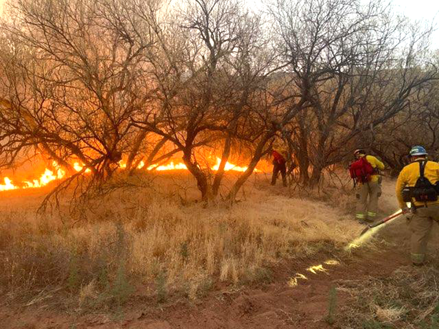 Wildfire near Lower Oak Creek Estates is humancaused The Verde