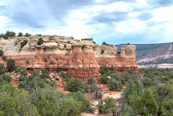 Saddlehorn Mesas in Canyons of the Ancients National Monument in Colorado. (Photo/Adobe stock)