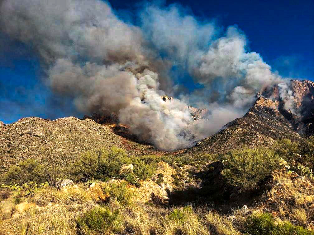 More evacuated from around Mount Lemmon near Tucson as wildfire grows