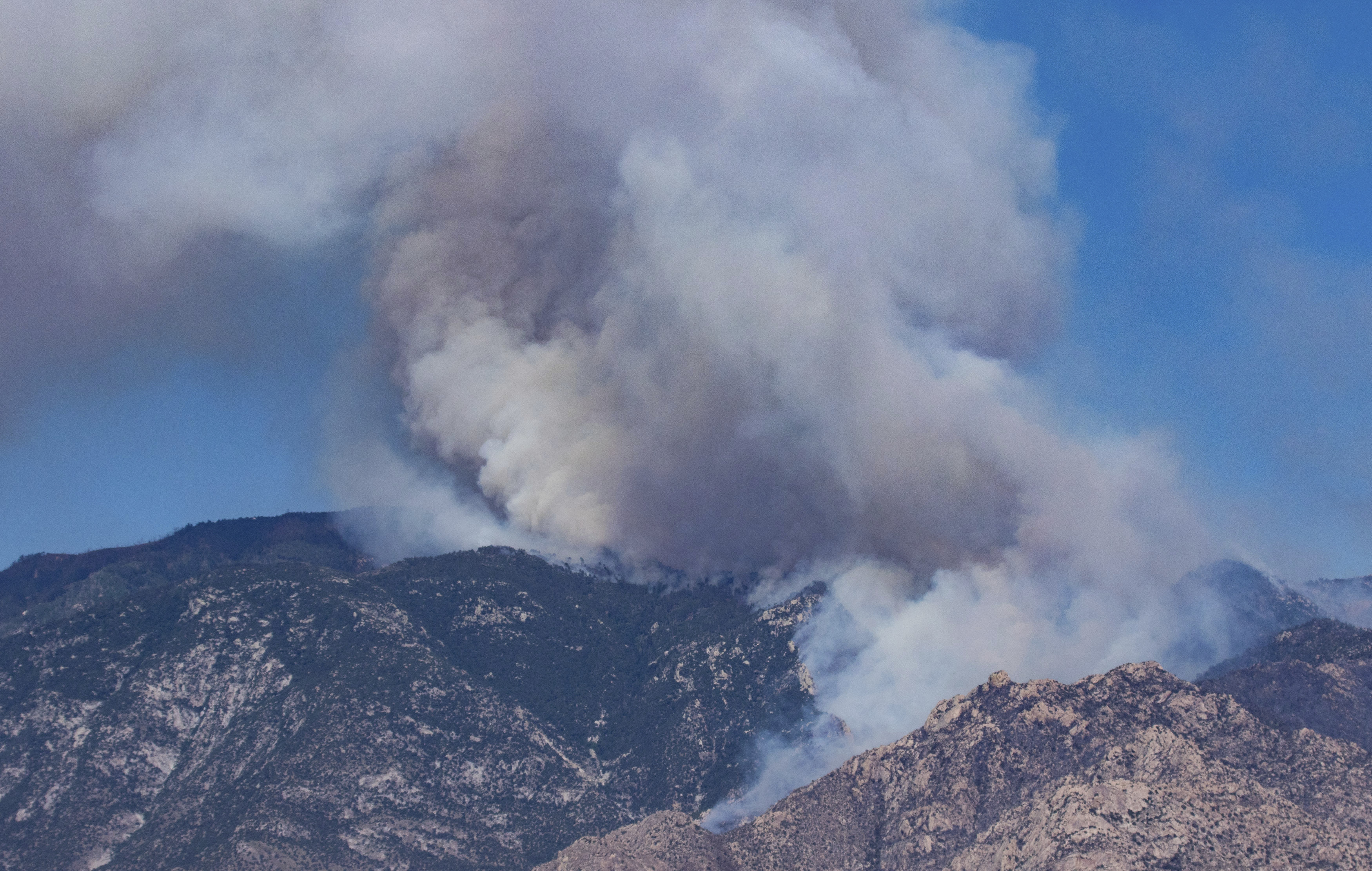 Evacuation area on Mount Lemmon expanded as wildfire grows The Daily