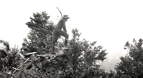 story photo