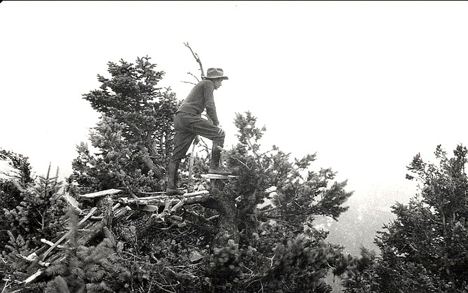 Photo detail