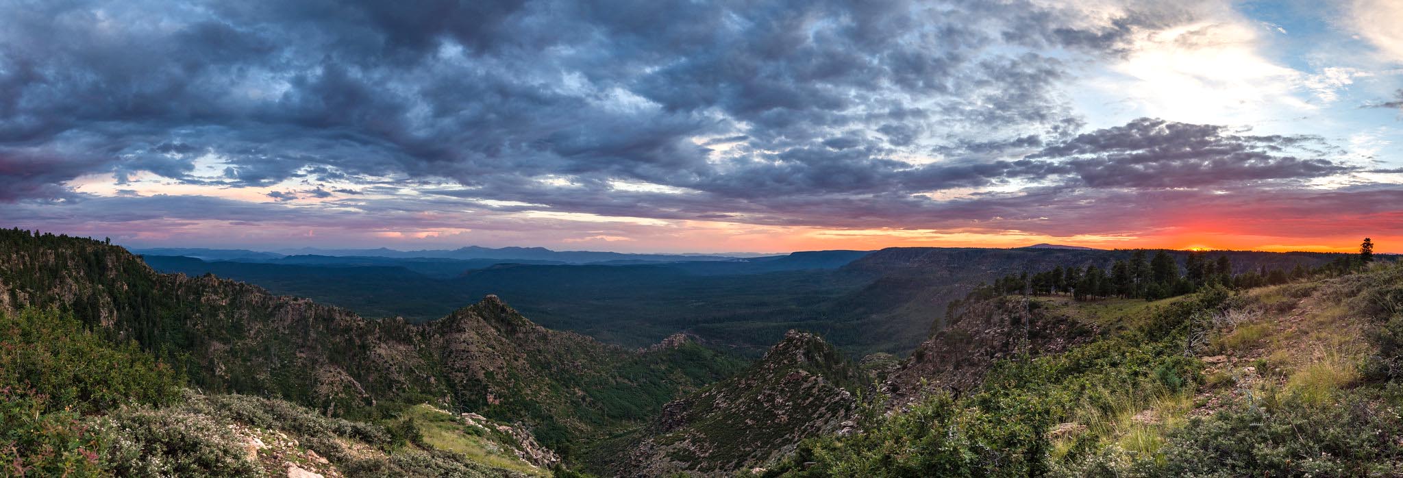 tonto national forest        
        <figure class=