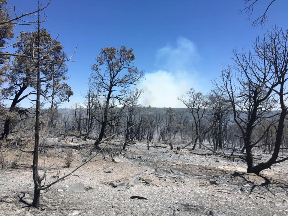 Firefighters battle small lightningcaused blaze north of Ash Fork