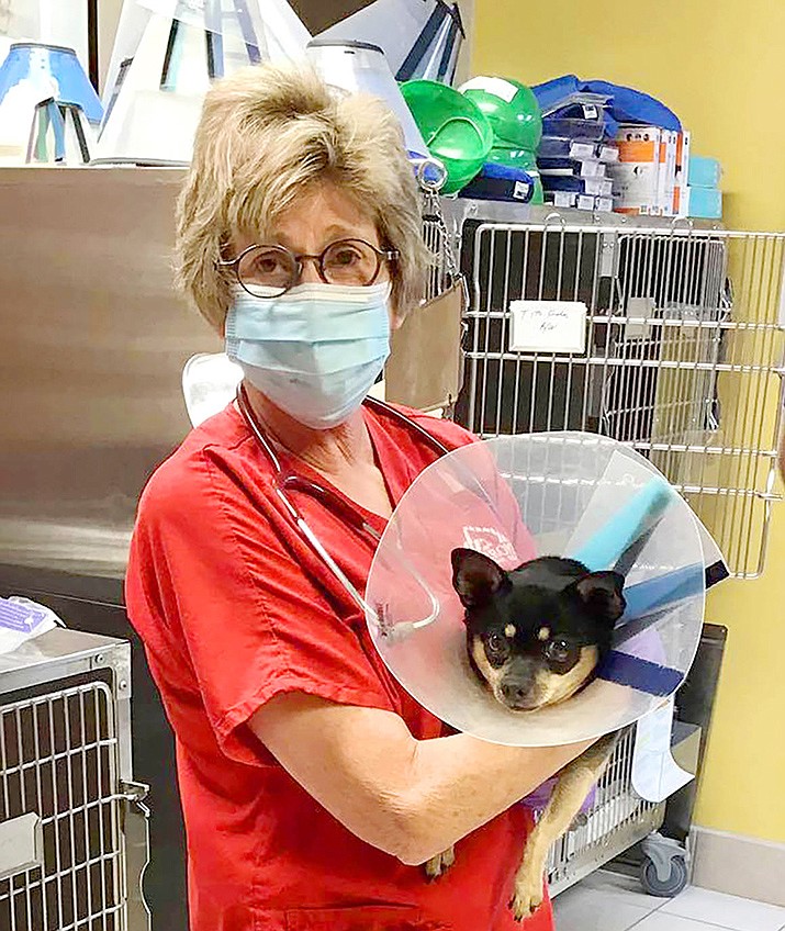 Jerome Humane Society veterinarian technician Sally Dryer is masked up while treating pets at the clinic since the pandemic. Photo courtesy Jerome Humane Society