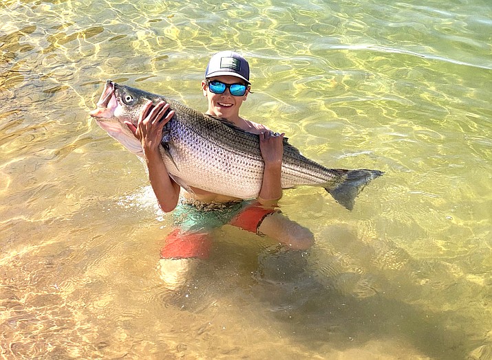 Jack Davis holds a 43 inch striper caught in Lake Powell. (Submitted photo)