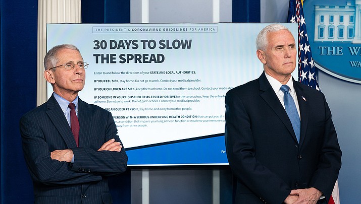 Fauci Says Marlins Virus Outbreak Could Endanger Mlb Season