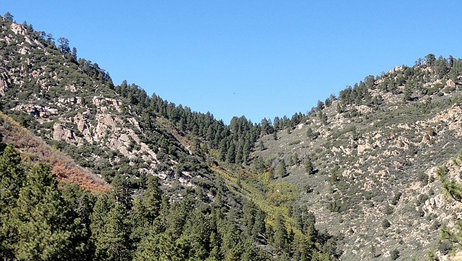Photo detail