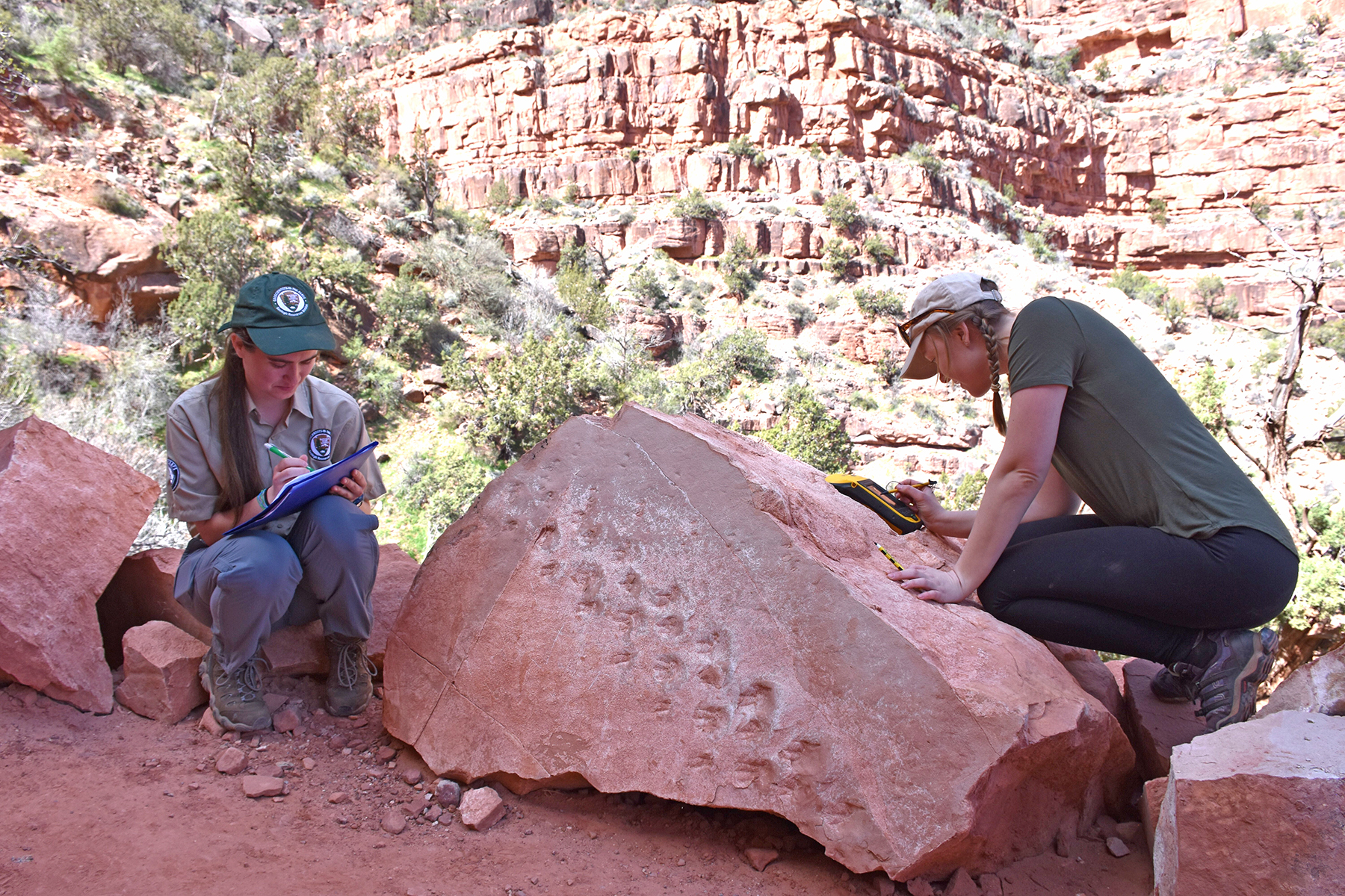 Rock fall at Grand Canyon reveals ancient animal footprints Williams