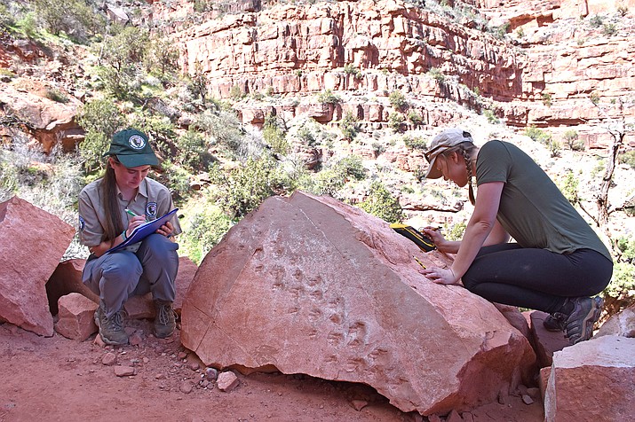 This undated photo provided by Grand Canyon National Park shows park employees Klara Widrig, left, and Anne Miller examining a rock that revealed fossilized footprints at the Grand Canyon in northern Arizona. Some researchers have estimated the footprints are 313 million years old, among the earliest found at the Grand Canyon. (Grand Canyon National Park via AP)