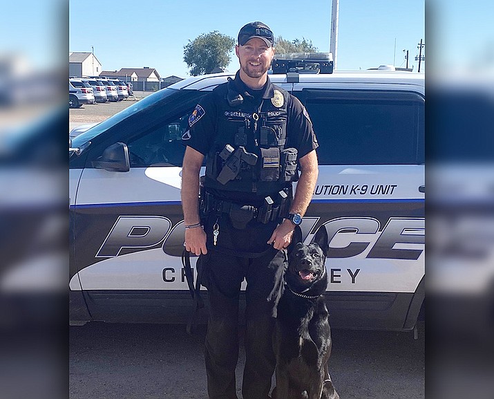 The Chino Valley Police Department welcomes Sirius, its newest K9 officer. He is a 2-year-old dual-purpose Belgian Malinois who will be handled by his newly selected K9 handler, FTO Steve Sellers. (CVPD/Courtesy)