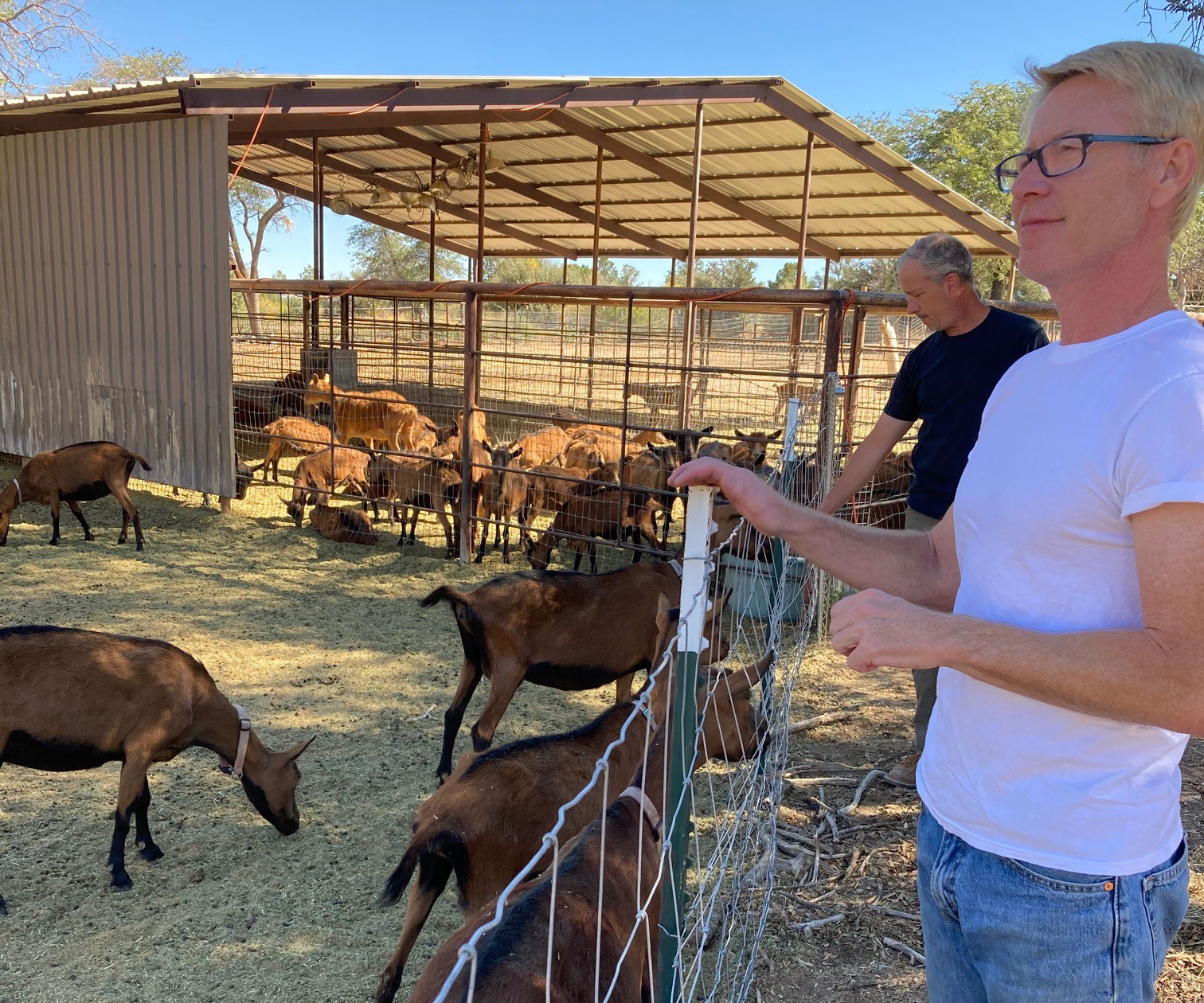 Capream dairy goat farm in Williamson Valley strives to stay alive with