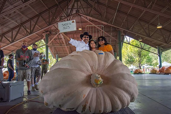 This photo provided by Jim Seamons shows Mohamed Sadiq posing for a photo with his family and his 1,825 pounds (828 kilograms) pumpkin at the 16th Annual UGPG Thanksgiving Point Weigh-Off winning First Place and named the largest pumpkin grown in Utah outside of a greenhouse on Saturday, Sept. 26, 2020 in Lehi, Utah. The Utah Giant Pumpkin Growers has recorded eight pumpkins in Utah this year weighing over 1,000 pounds (454 kilograms), setting a state record. (Ryann Seamons via AP)