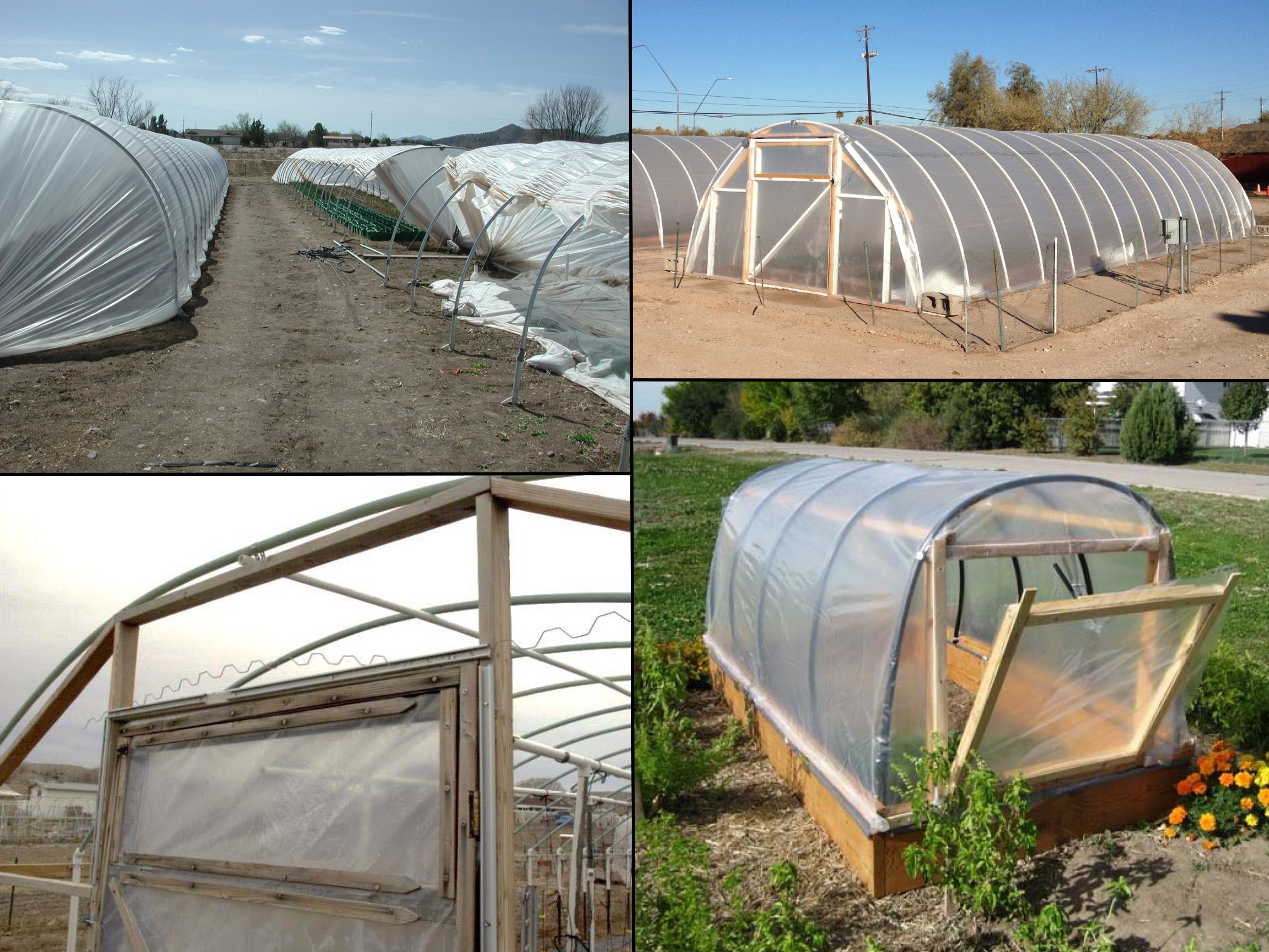 Backyard Gardener High tunnels extend growing season The Daily