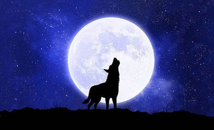 Film Festival Hosts Blue Moon Howl O Ween Party Oct 31 Kudos Az