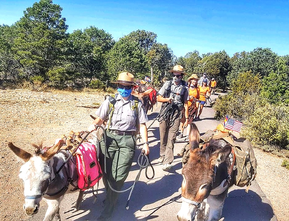 Return of the burro Grand Canyon rangers run with racing burros