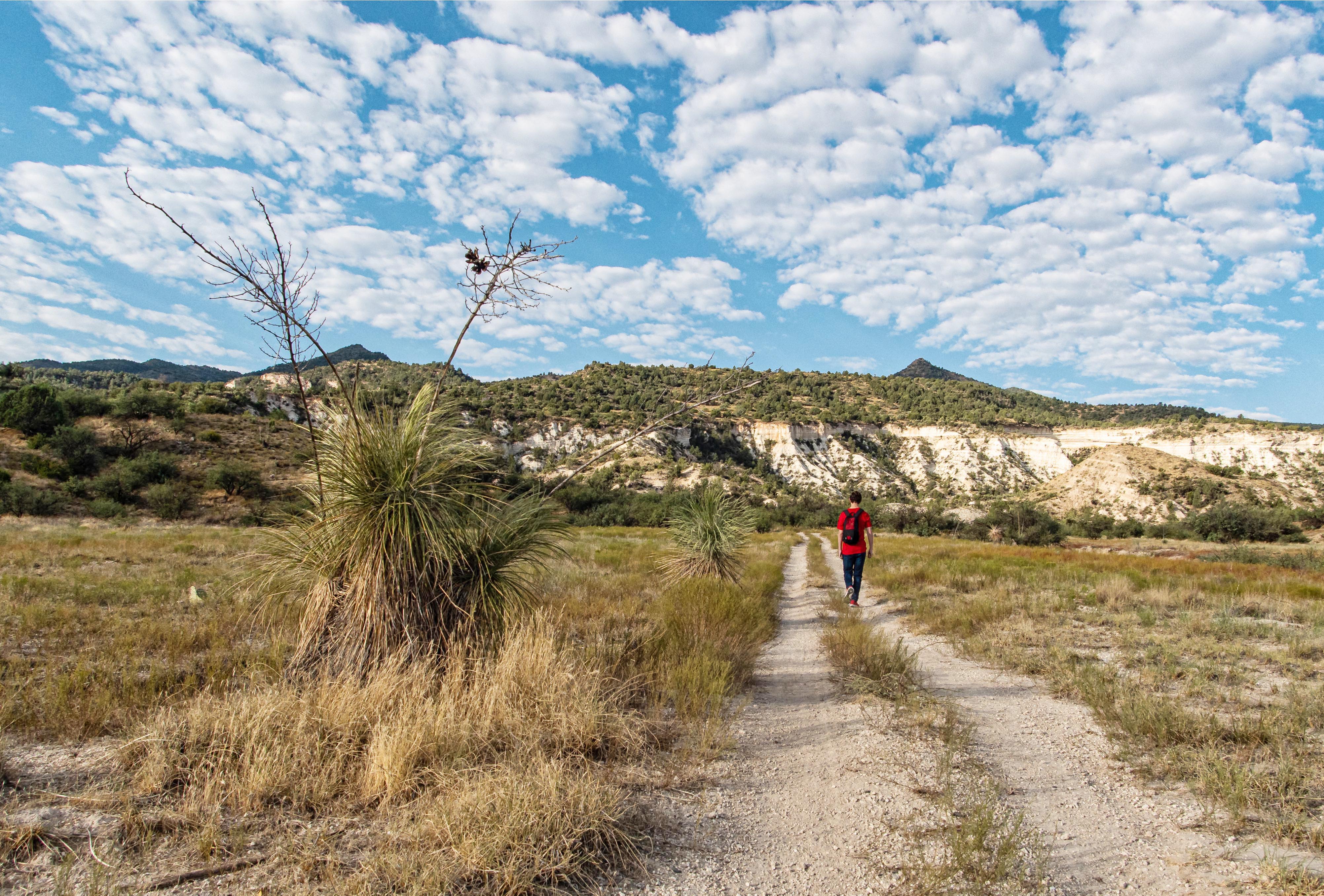 1,678foot climb true test of new Camp Verde Ryal Canyon Trail Kudos AZ