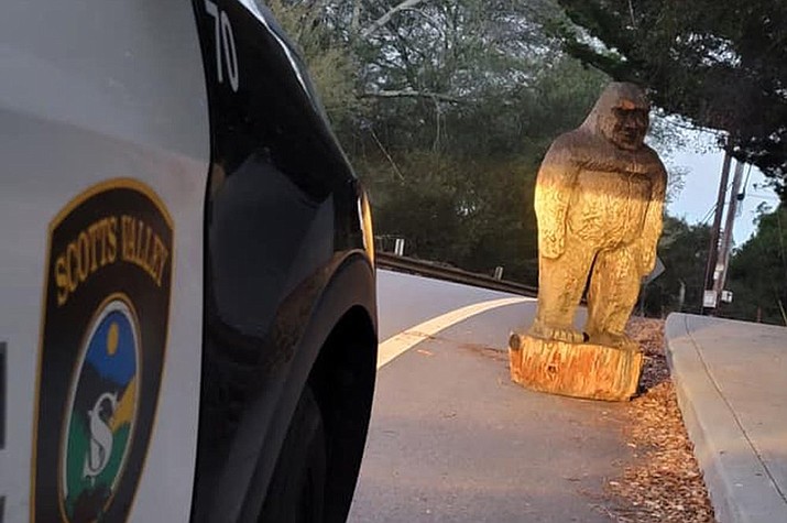 In this photo provided by the Scotts Valley Police Department is a figure of Bigfoot that officers found on a roadway in the mountains north of Santa Cruz in Scotts Valley, Calif., Thursday, Nov. 12, 2020. The Scotts Valley Police Department says it was a little banged up but will be returned to its rightful place at the Bigfoot Discovery Museum. The Santa Cruz County Sheriff's Office had urged people to keep their eyes peeled for the 4-foot-tall wooden statue after it was stolen from outside the tiny museum in nearby Felton on Monday. (Scotts Valley Police Department via AP)