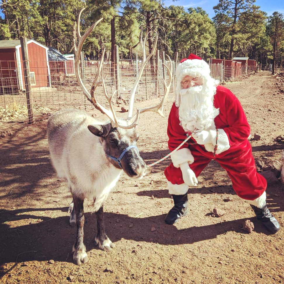 A special visitor at Grand Canyon Deer Farm | Williams-Grand Canyon