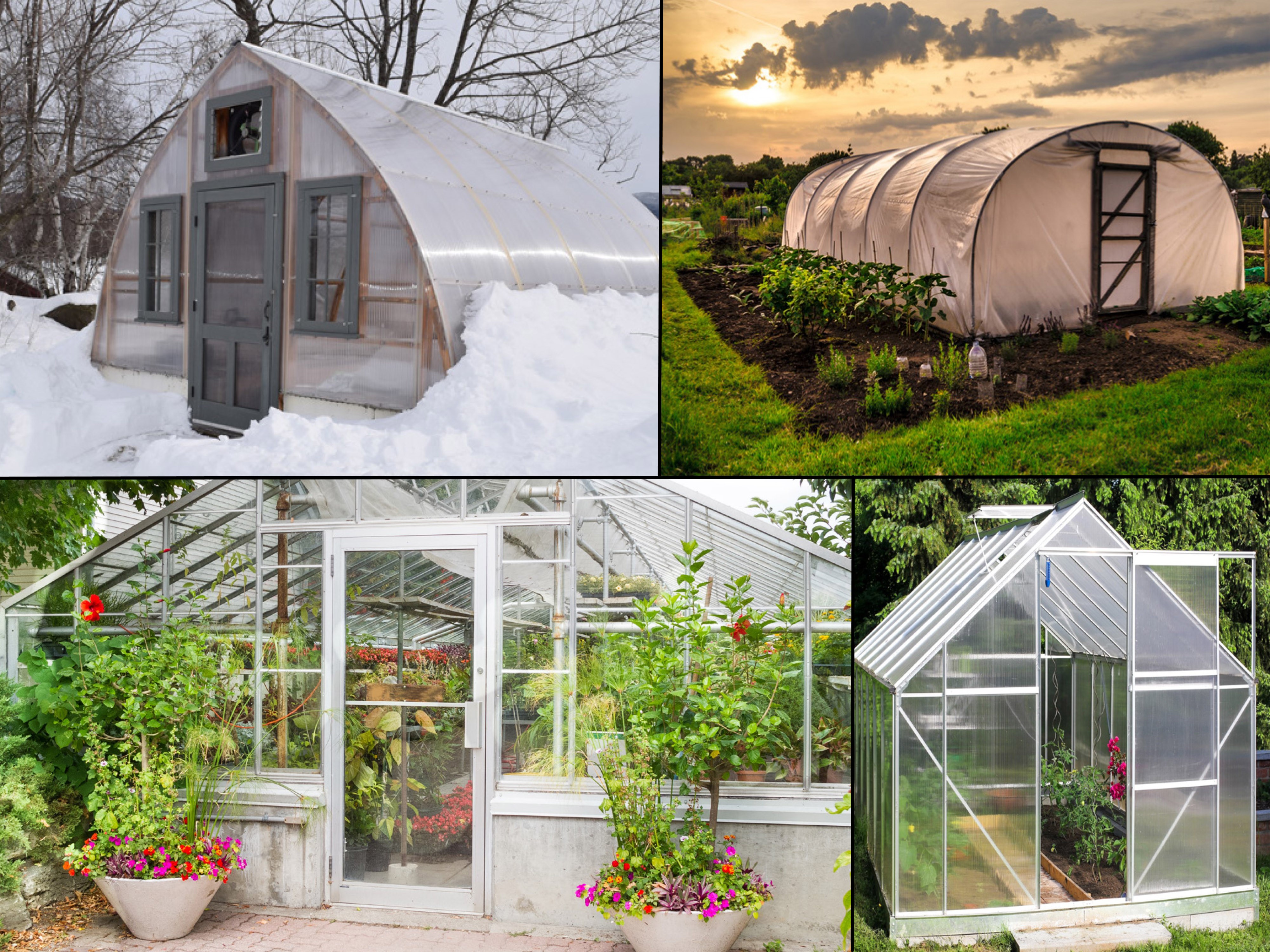 Backyard Gardener Thinking about a greenhouse? The Daily Courier