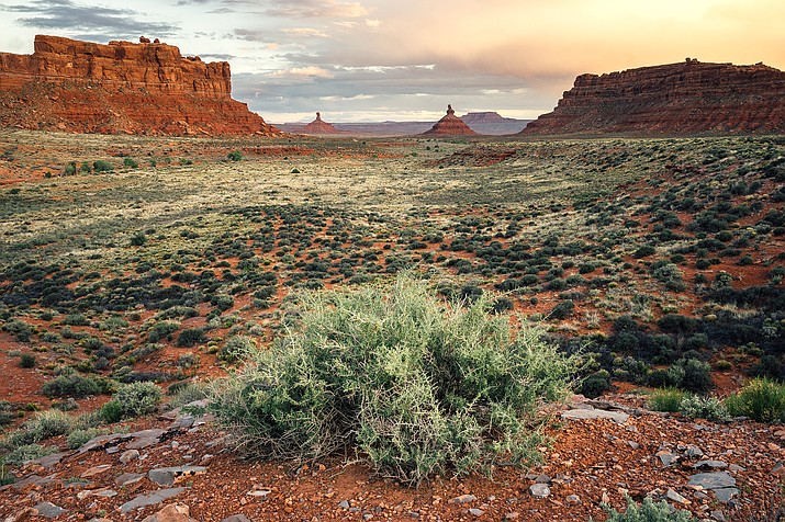 The Sixshooter Peaks are two iconic sandstone summits located in Bears Ears National Monument. (Adobe stock)