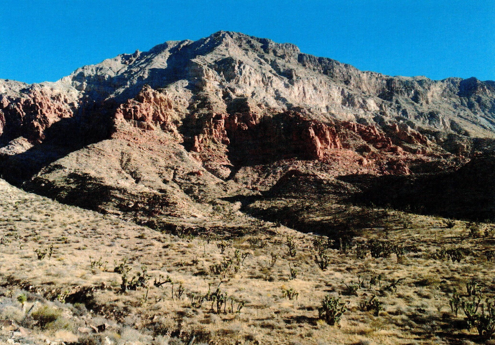 Hiking Arizona: Beaver Dam mountains wilderness — it’s worth the risk