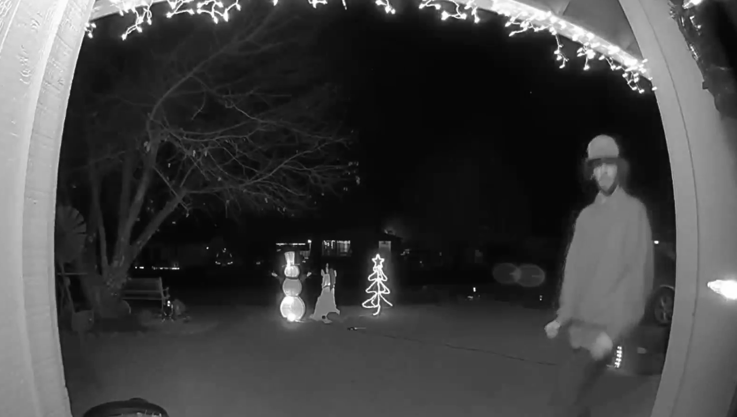 Ring doorbell camera captures unexpected act of heroism