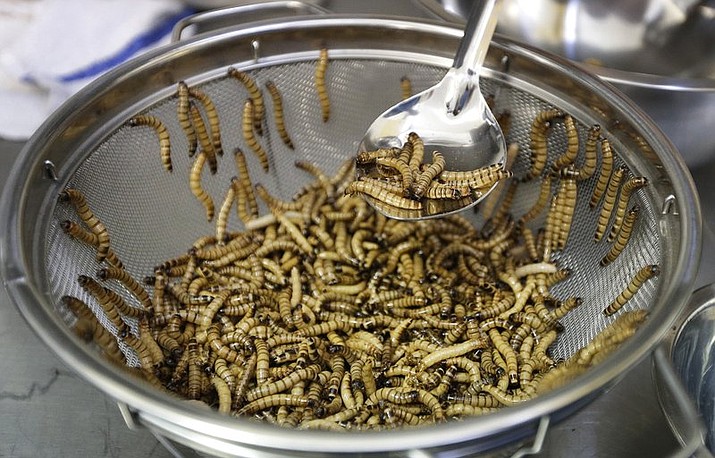 In this Feb. 18, 2015 file photo, meal worms are sorted before being cooked in San Francisco. The vaunted Mediterranean diet and the French “bon gout” are getting some competition: The European food safety agency says worms are safe to eat. The Parma-based agency published a scientific opinion Wednesday on the safety of dried yellow mealworms and gave them a thumbs up. Researchers said the worms, either eaten whole or in powdered form, are a protein-rich snack or ingredient for other foods. (AP Photo/Ben Margot)