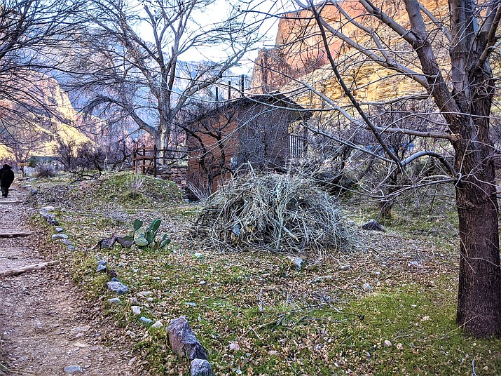 Woody debris piles seen at Indian Garden Campground and the Indian Garden day use area. (NPS/Nathan Martone)