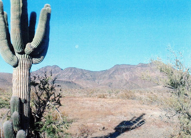 Photo detail