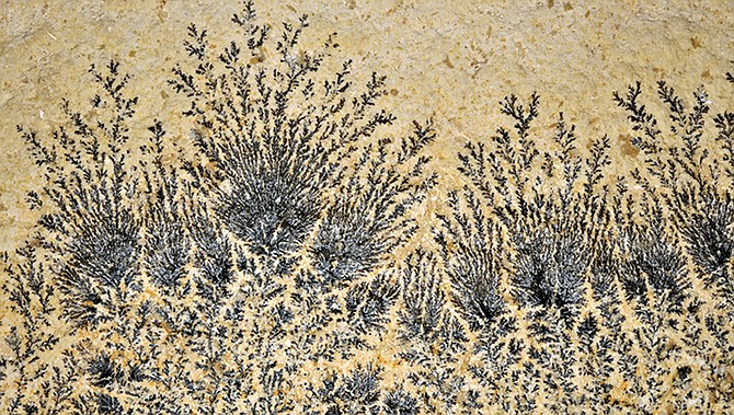 Photo detail