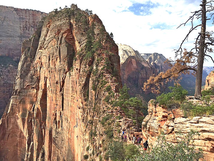 Angels Landing Trail is a popular scenic view and hiking trail located in Zion National Park. (Photo/NPS)