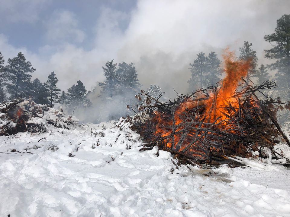 Pile burning set for March 11-12 on Bradshaw Ranger District | The ...