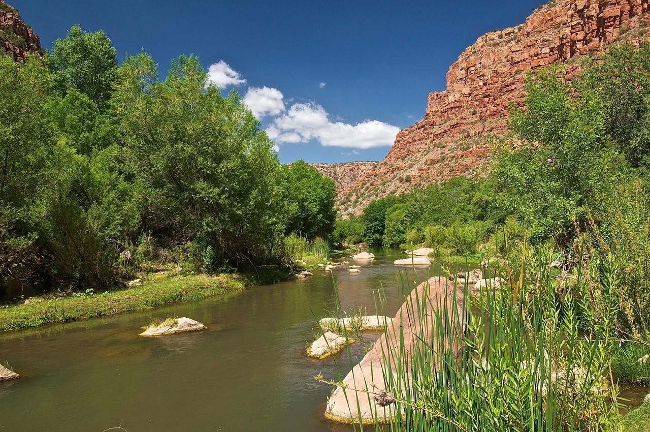 Red Creek Verde River Az