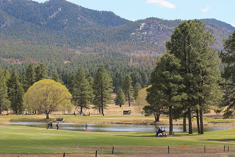 Vikings golf back on course at Elephant Rocks WilliamsGrand Canyon